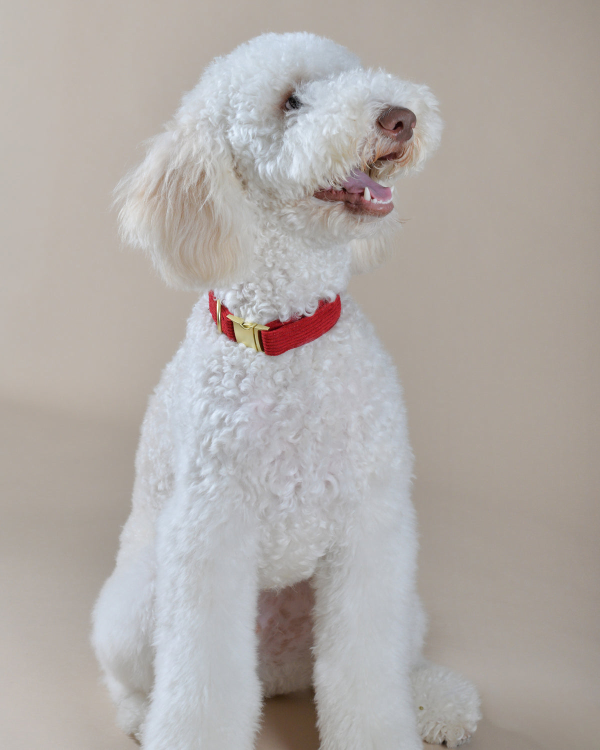 Cherry Corduroy Collar Set