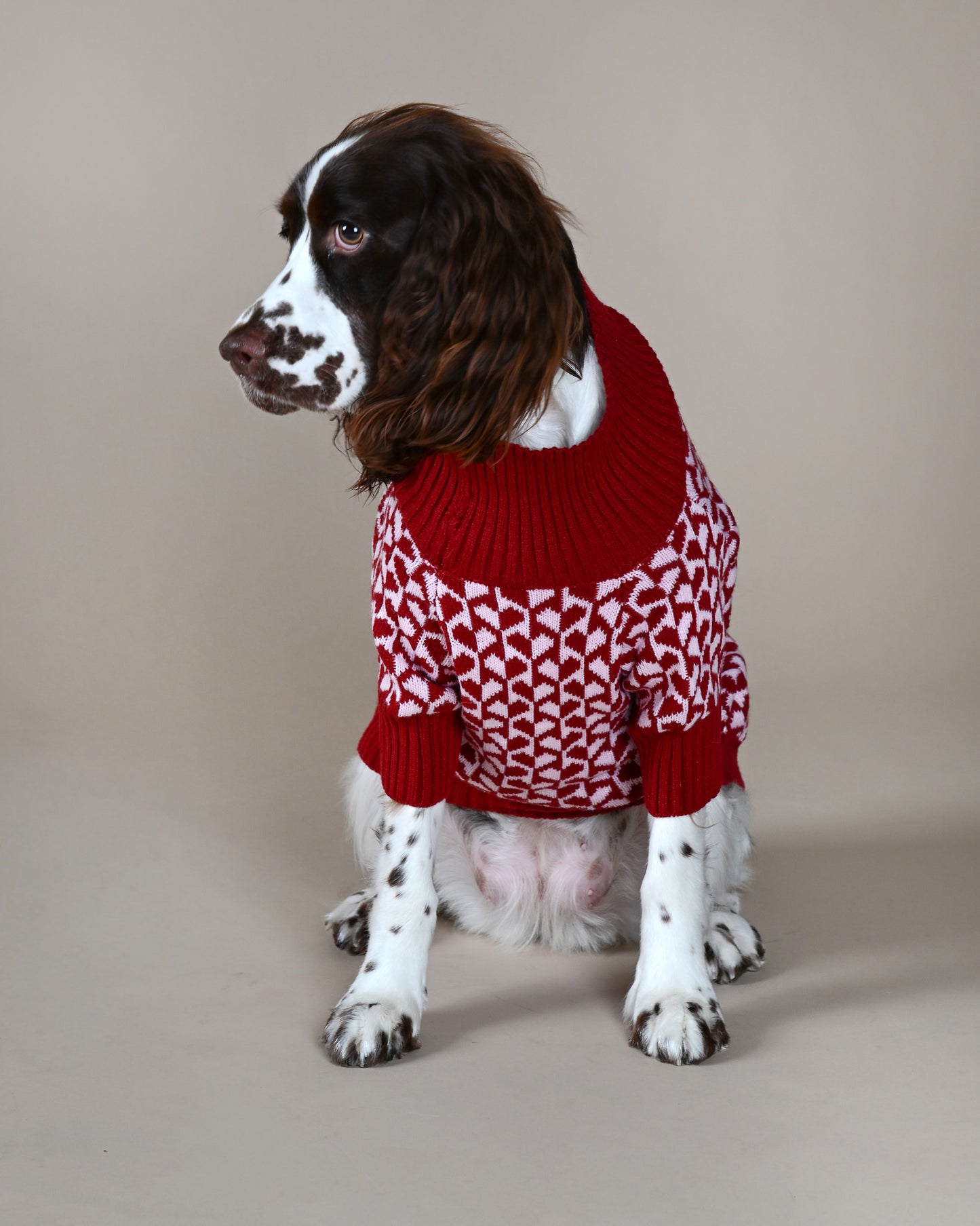Wine & Pink Hearts Sweater