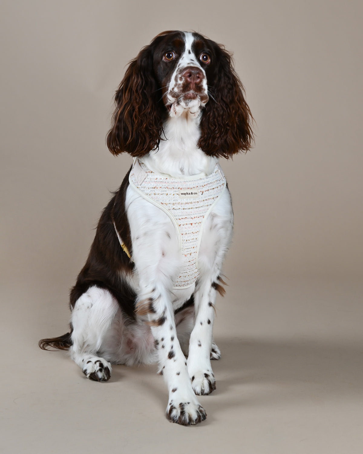 Tweed Harness