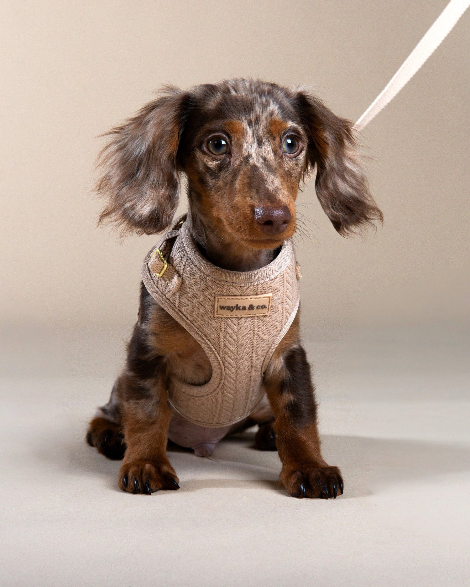 Harnesses