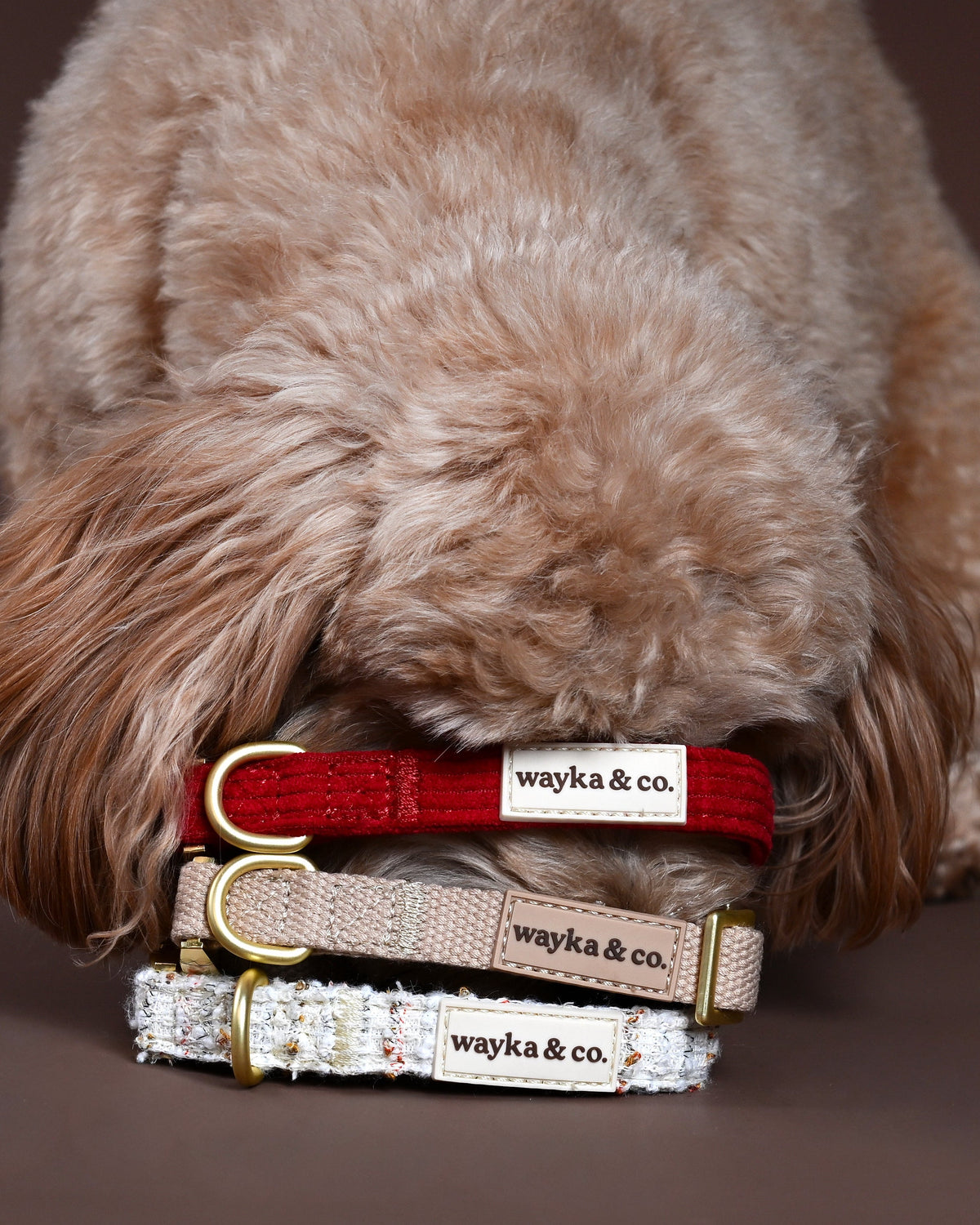 Wayka & Co. collars stacked
