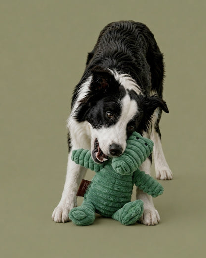 Crocodile Plush Toy