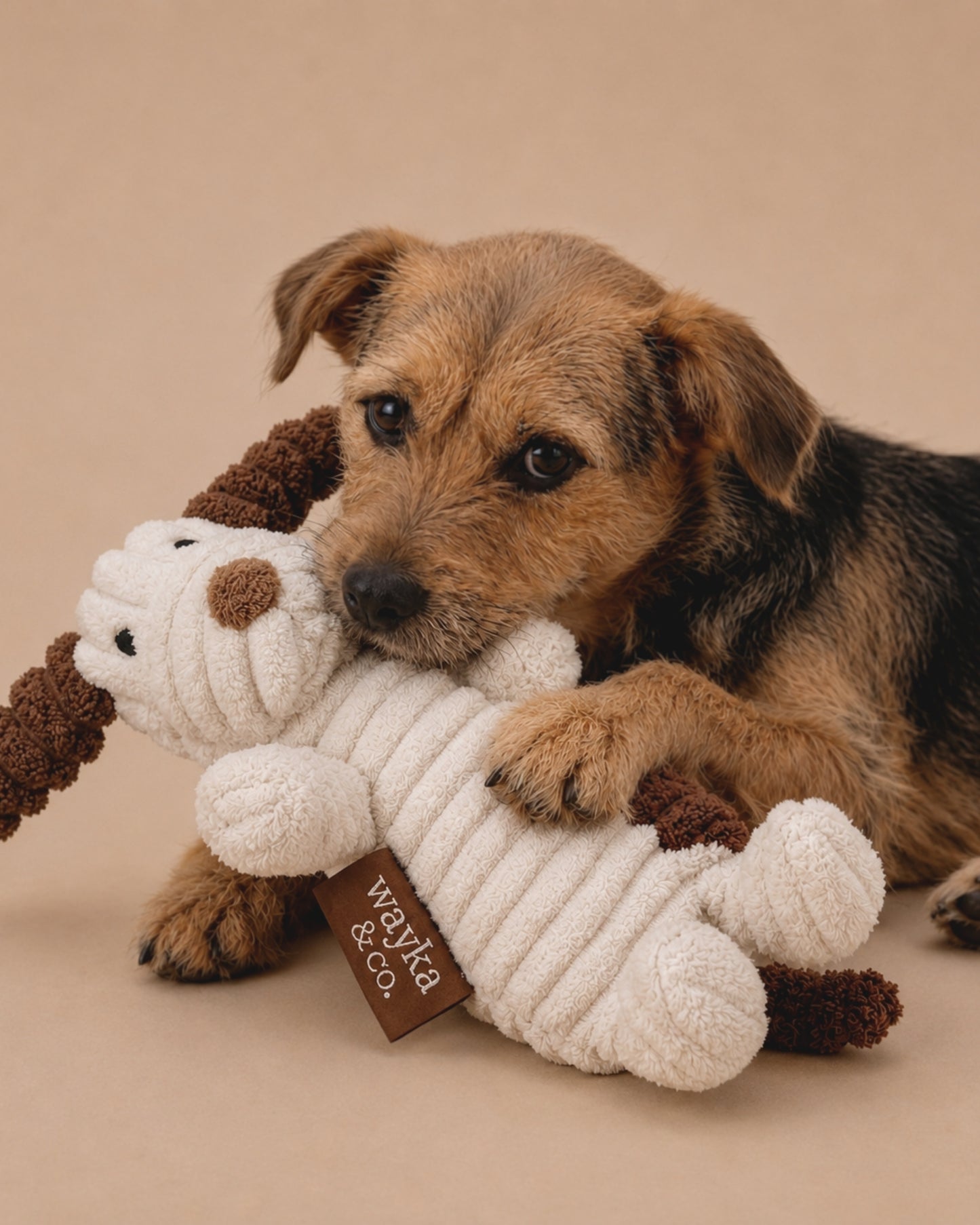 Puppy Plush Toy