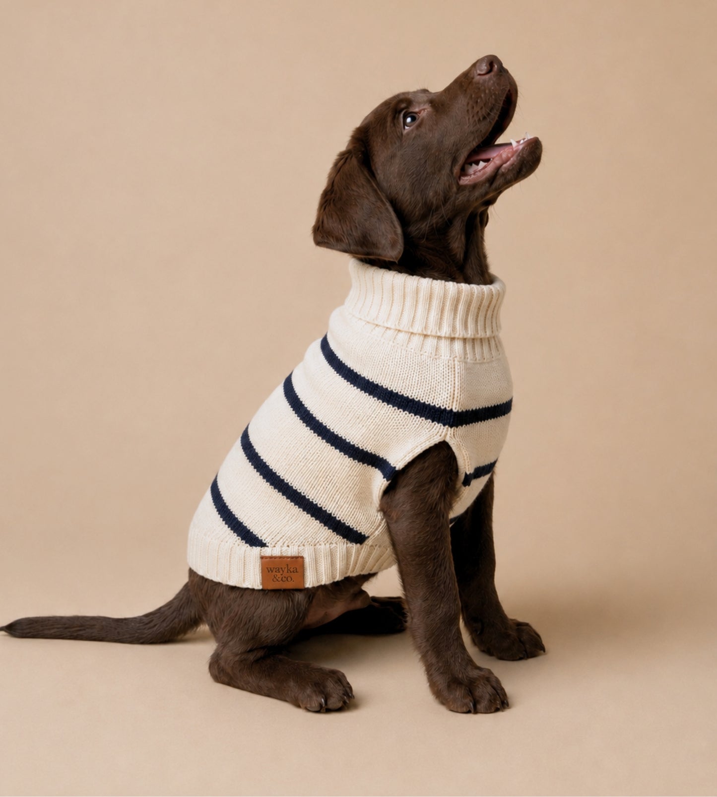 Marine Stripe Sweater