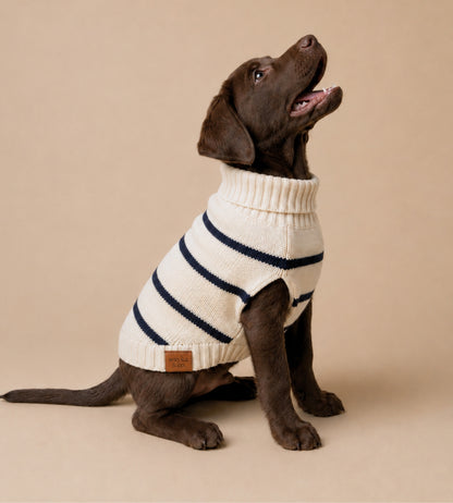 Marine Stripe Sweater