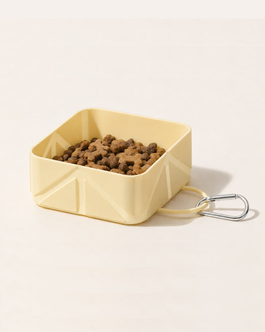 Foldable Bowl