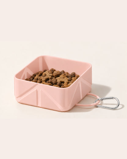 Foldable Bowl