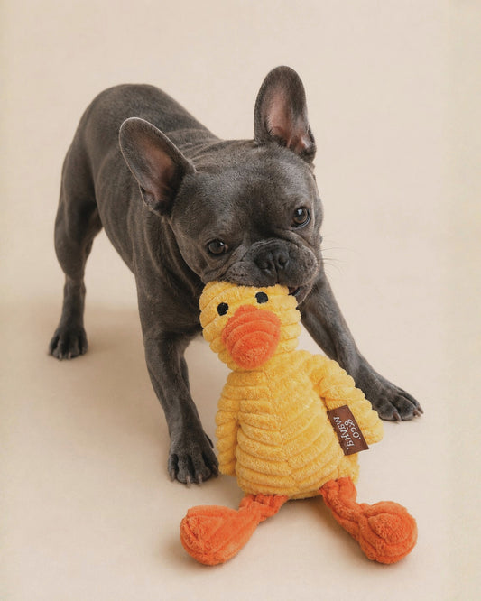 Duck Plush Toy