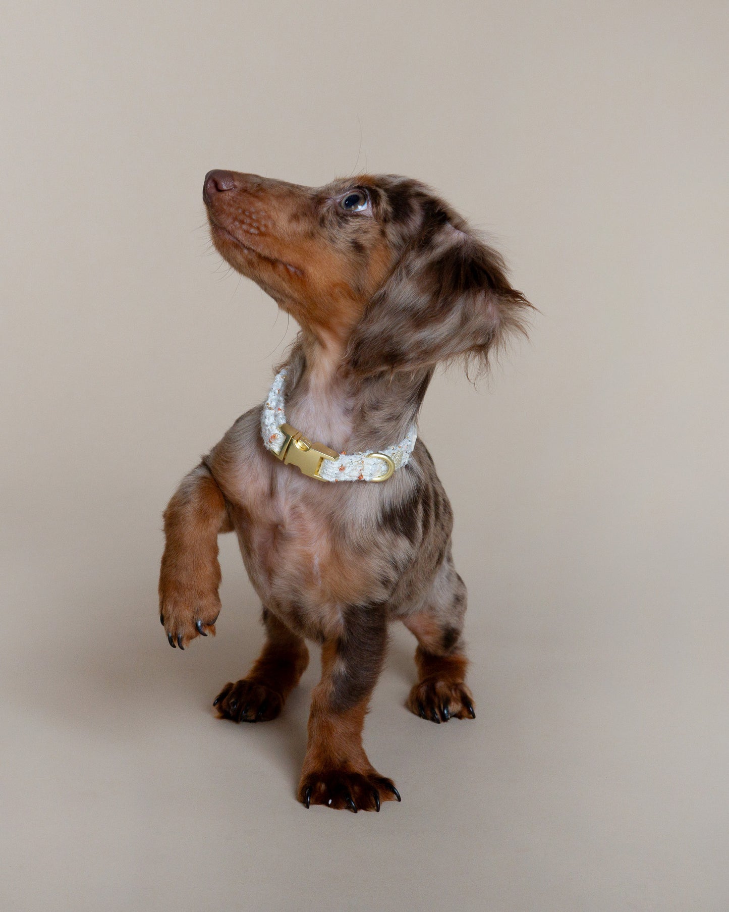 Tweed Collar