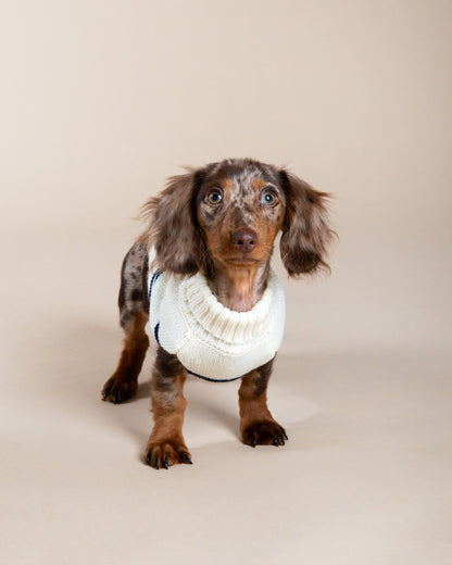 Marine Stripe Sweater