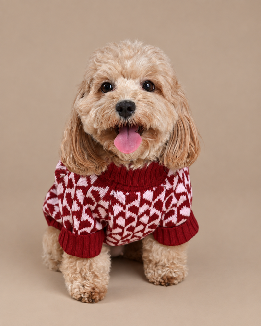 Wine & Pink Hearts Sweater