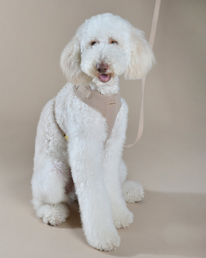 Cocoa Harness Set