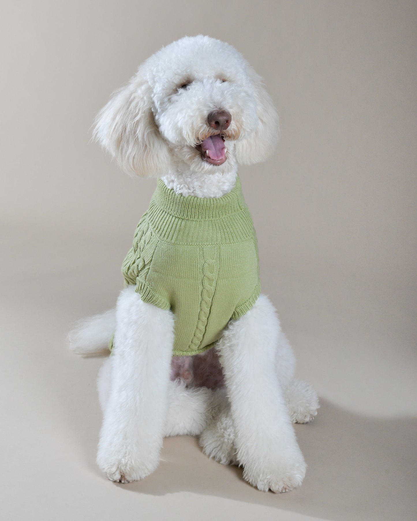 Pistachio Knit Sweater