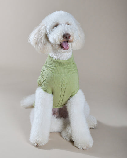 Pistachio Knit Sweater