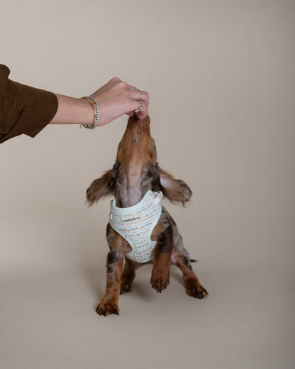 Tweed Harness
