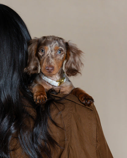 Tweed Collar