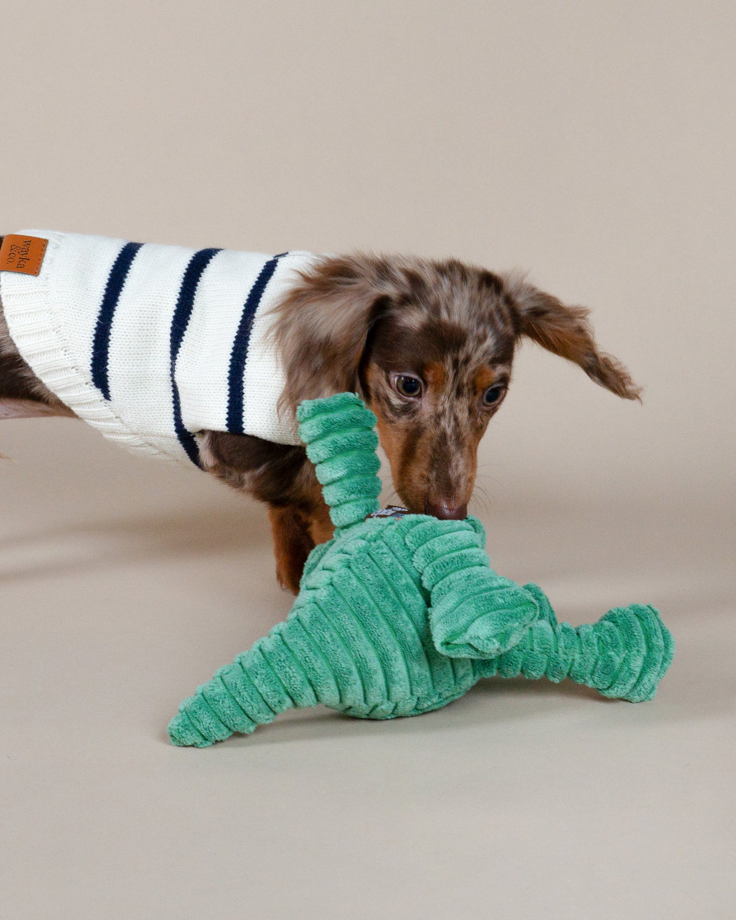 Crocodile Plush Toy