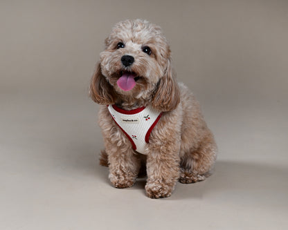 Cherry Corduroy Harness