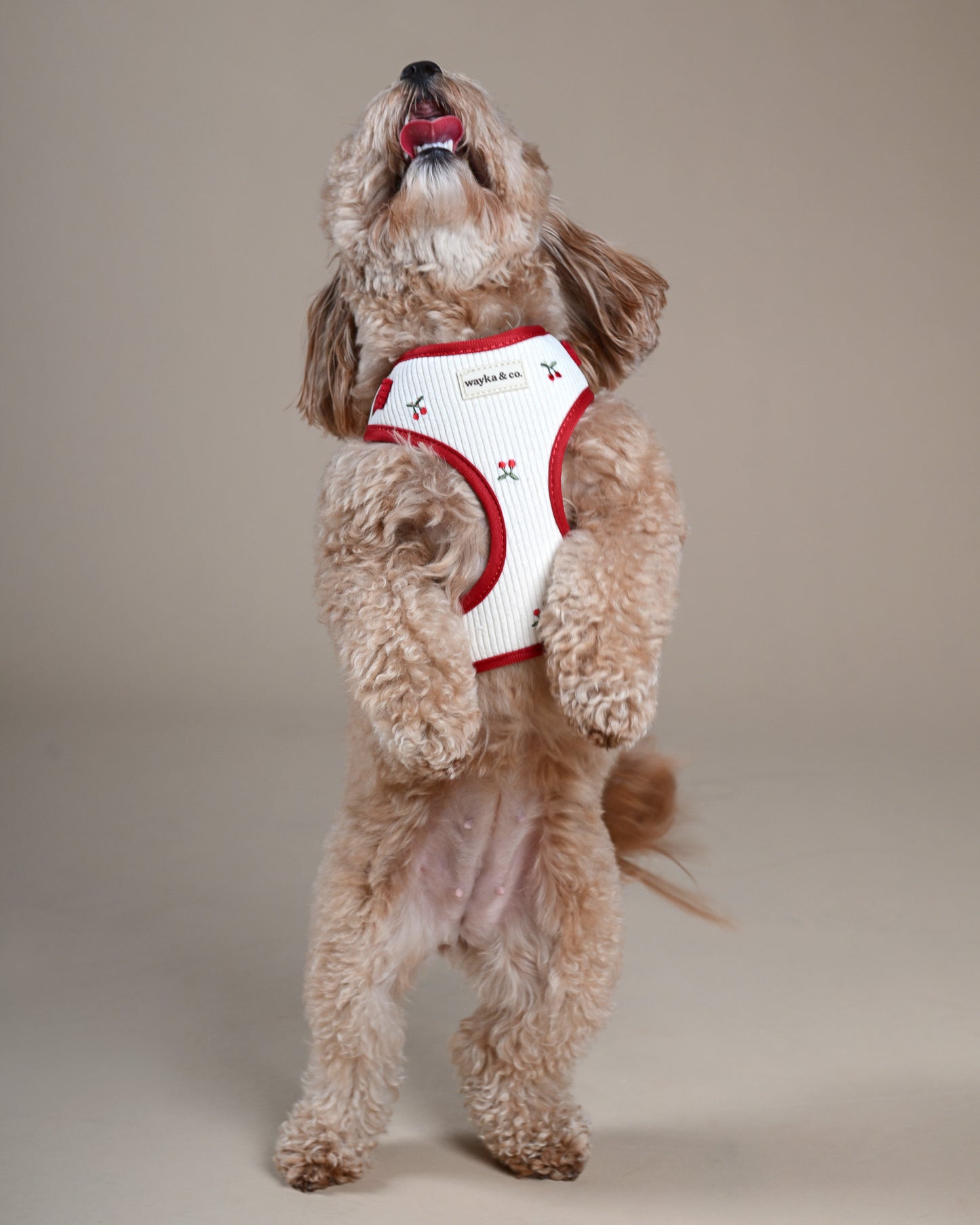 Cherry Corduroy Harness