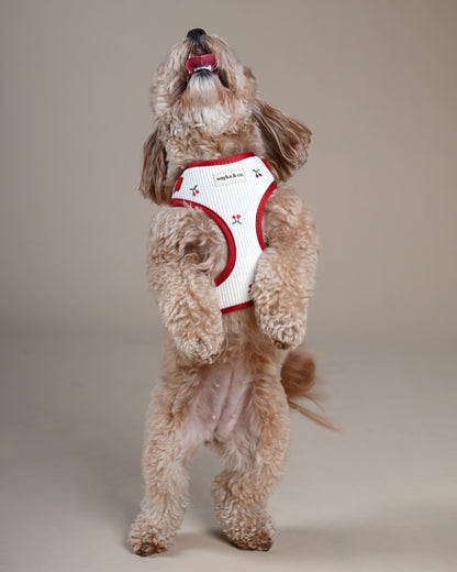 Cherry Corduroy Harness