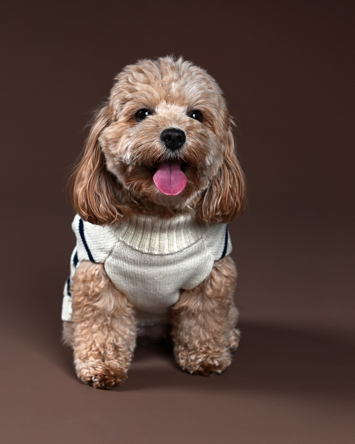 Marine Stripe Sweater