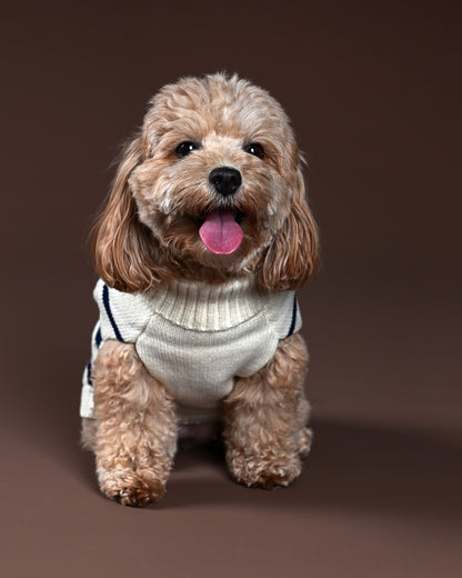 Marine Stripe Sweater