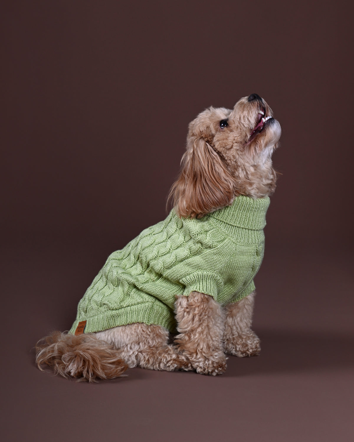 Pistachio Knit Sweater
