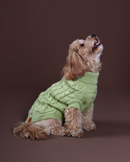 Pistachio Knit Sweater