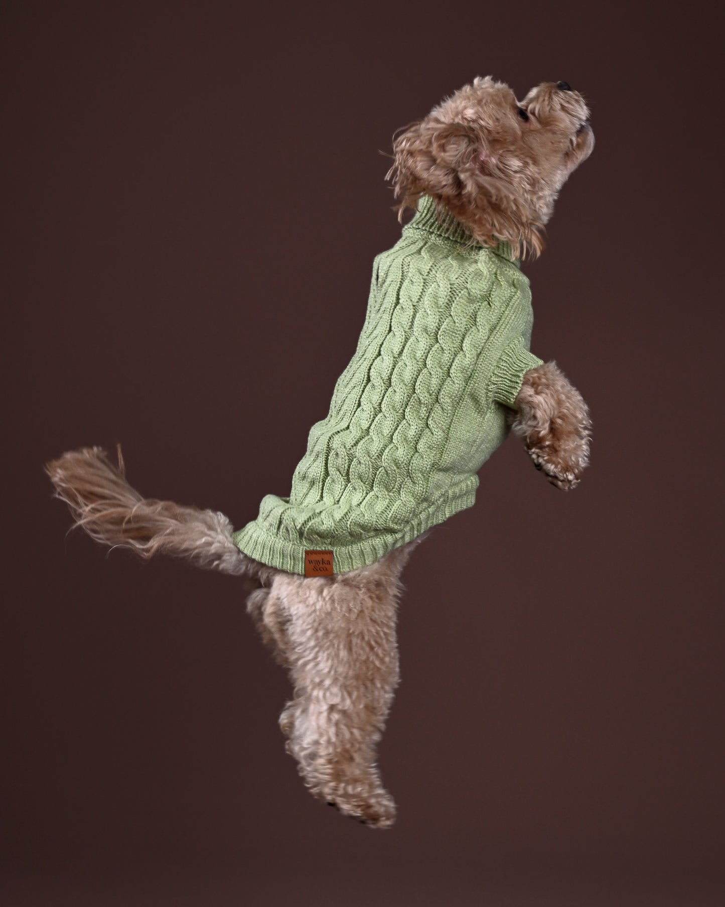 Pistachio Knit Sweater