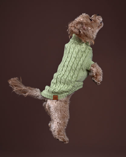 Pistachio Knit Sweater