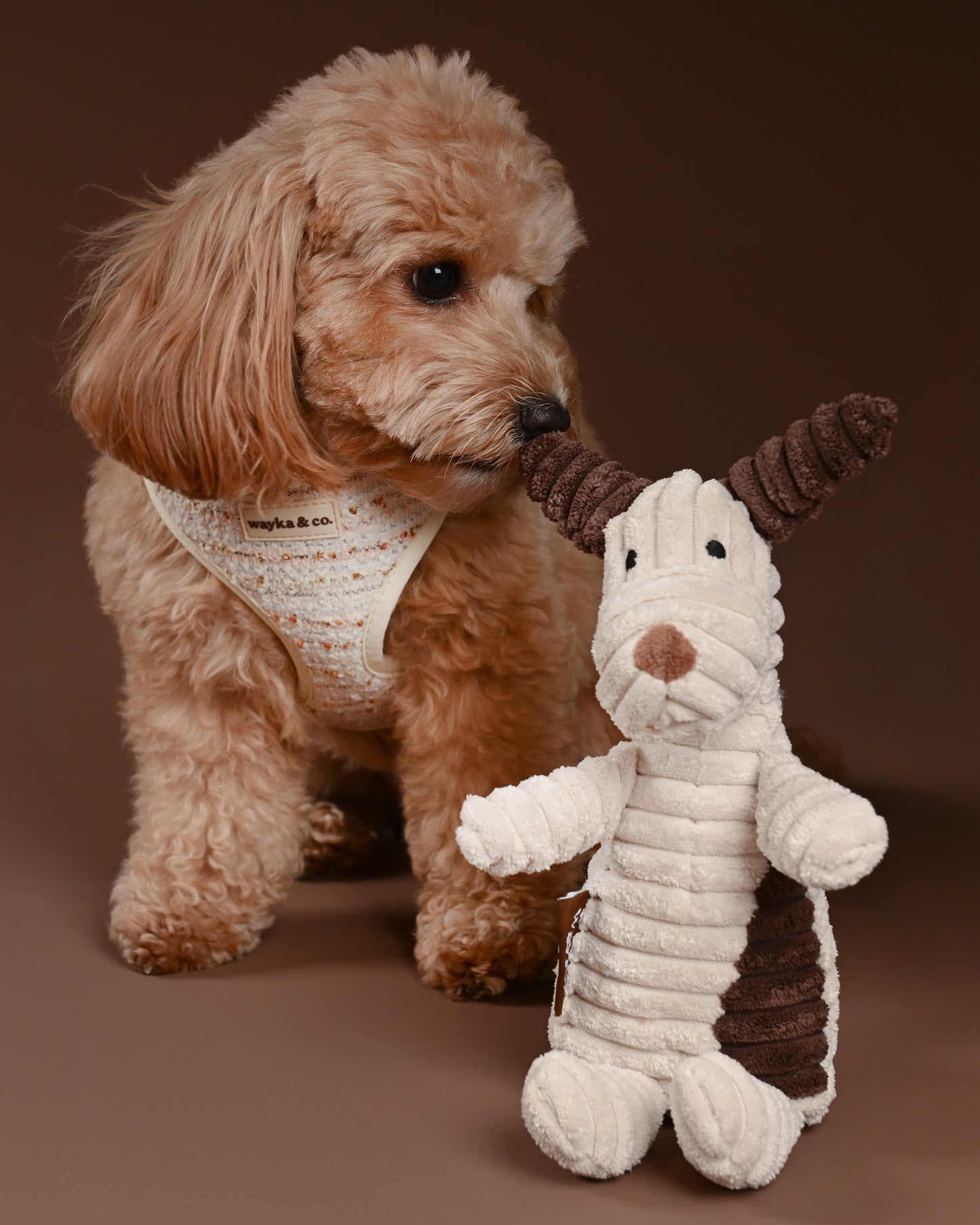 Puppy Plush Toy