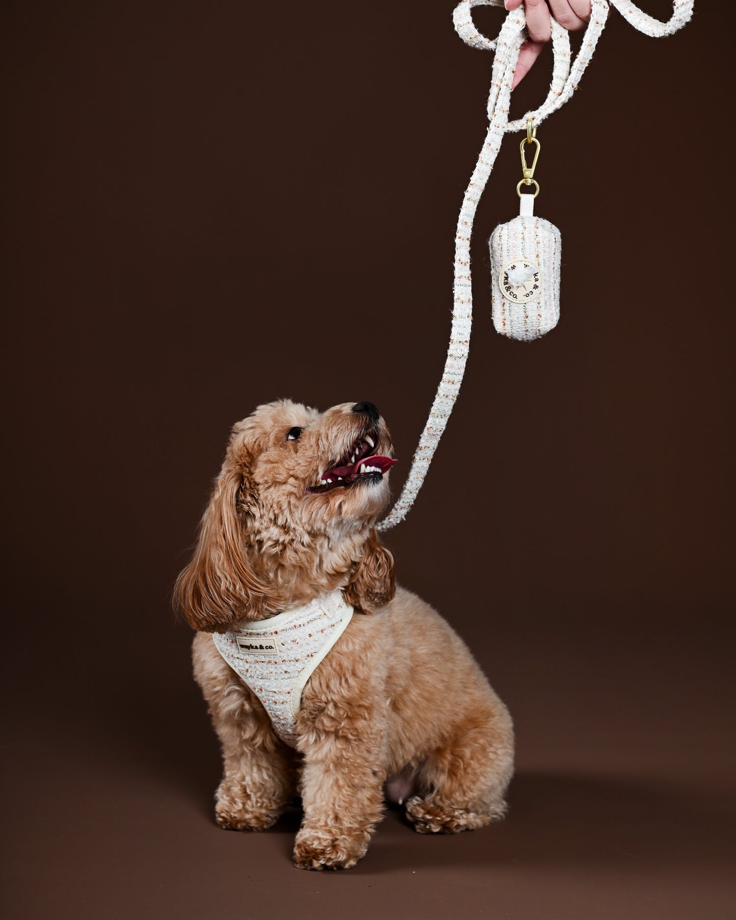 Tweed Harness