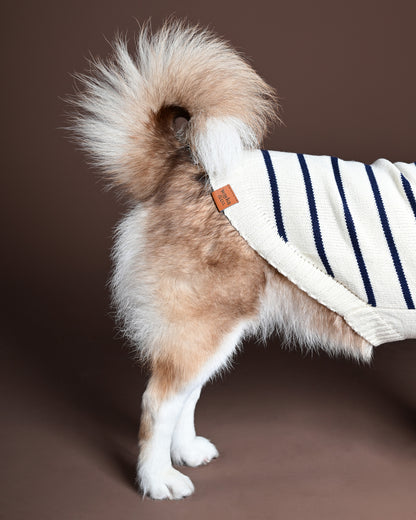 Marine Stripe Sweater