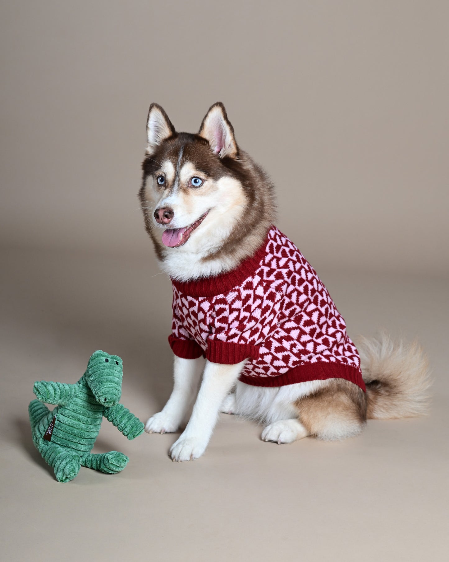 Crocodile Plush Toy