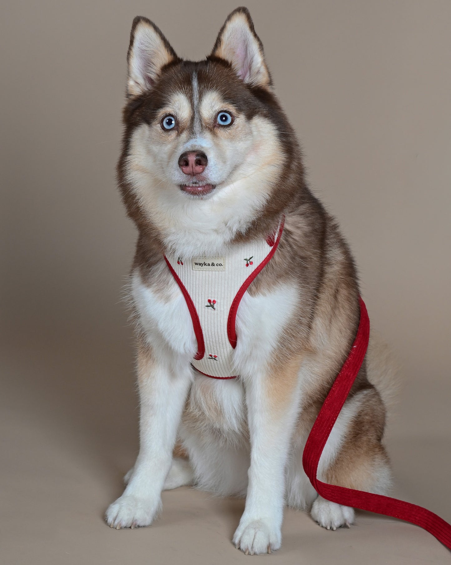 Cherry Corduroy Harness
