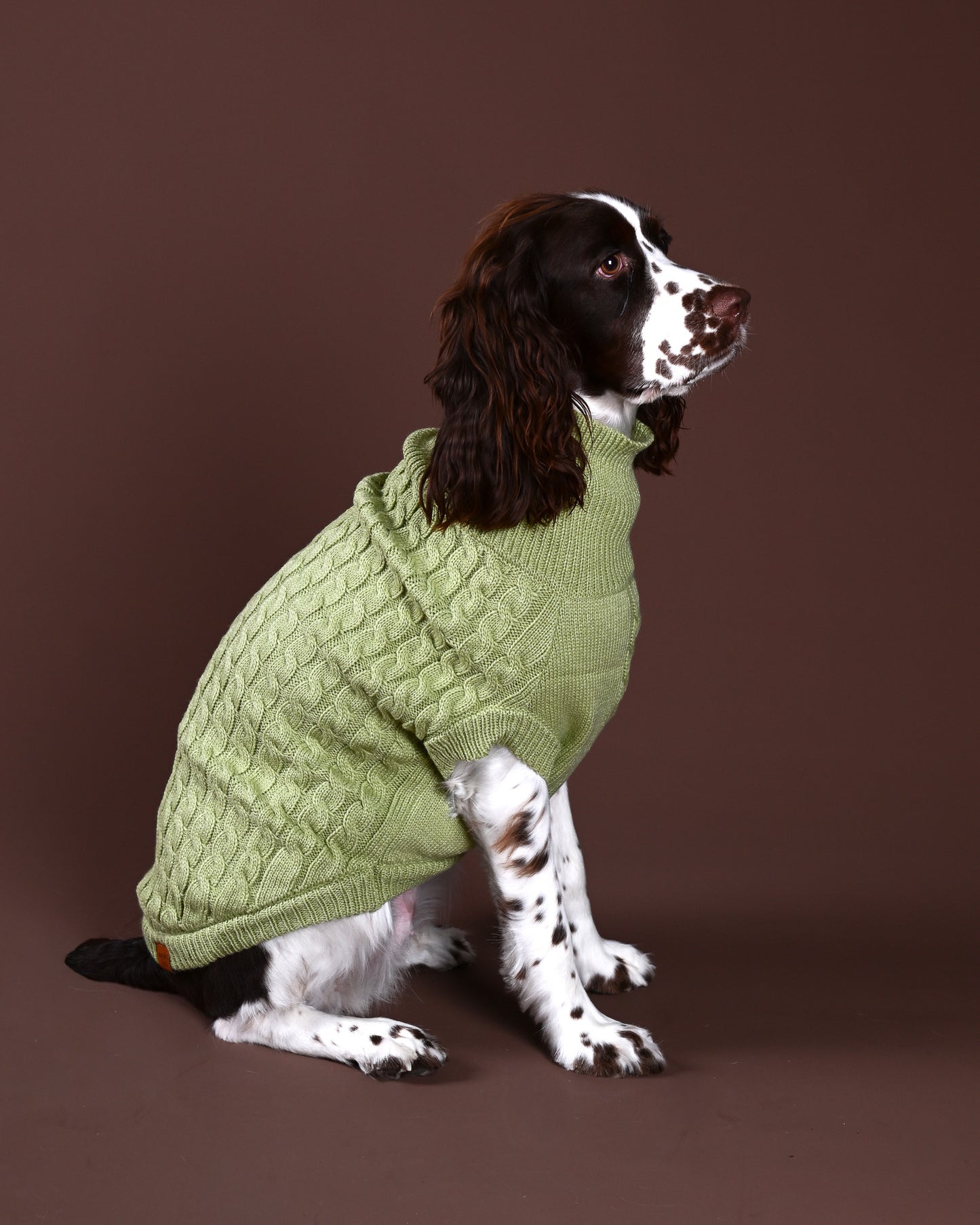 Pistachio Knit Sweater