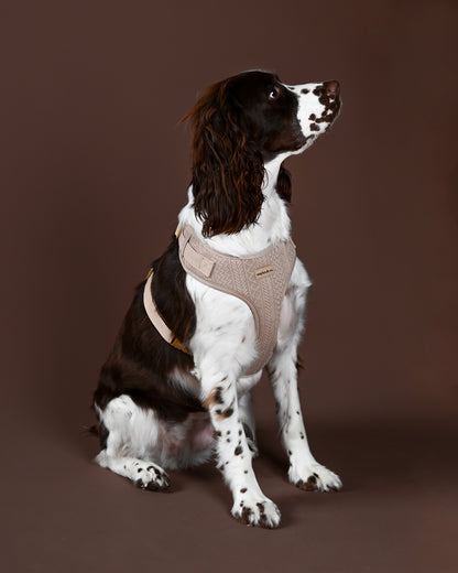 Cocoa Knit Harness