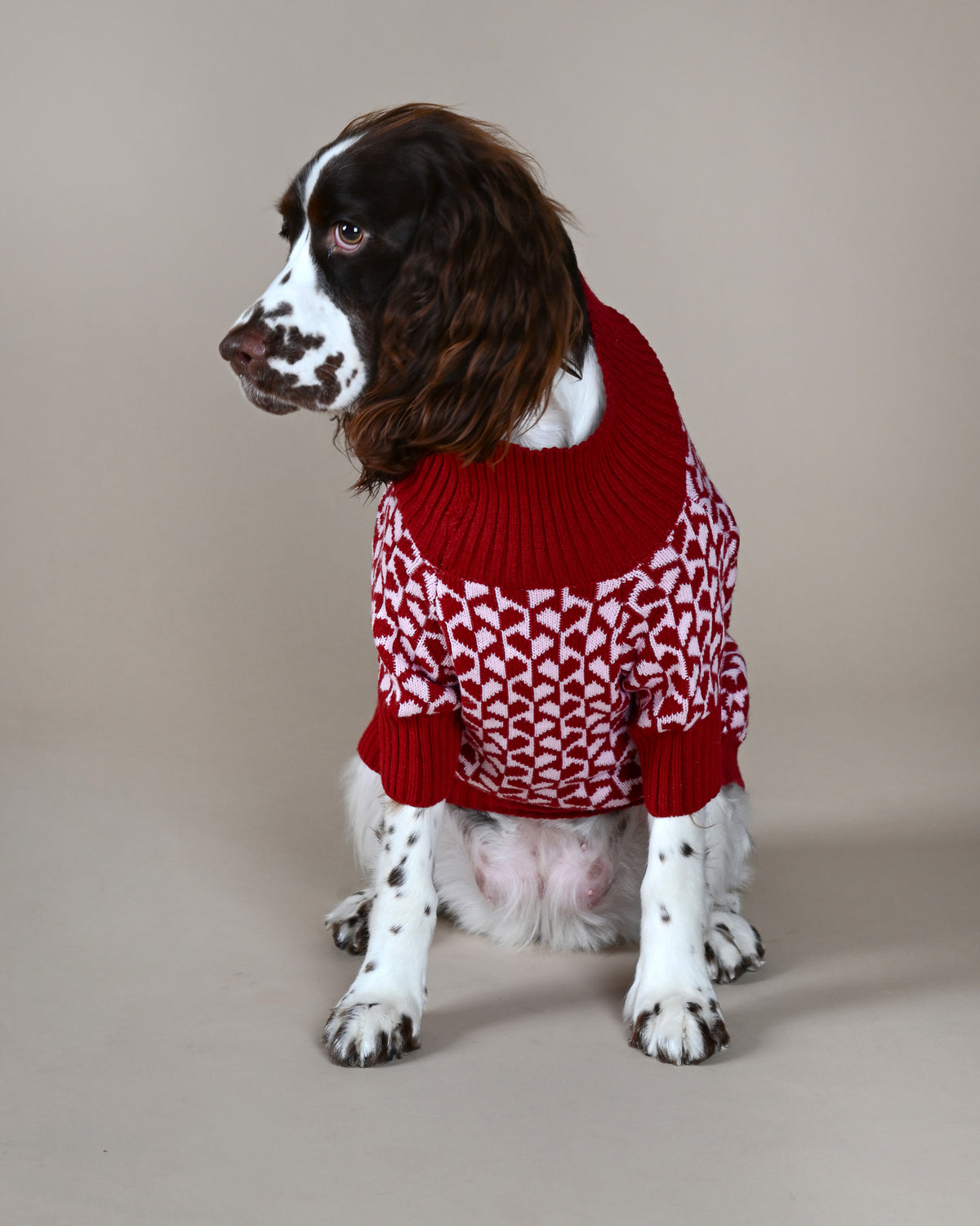 Wine & Pink Hearts Sweater