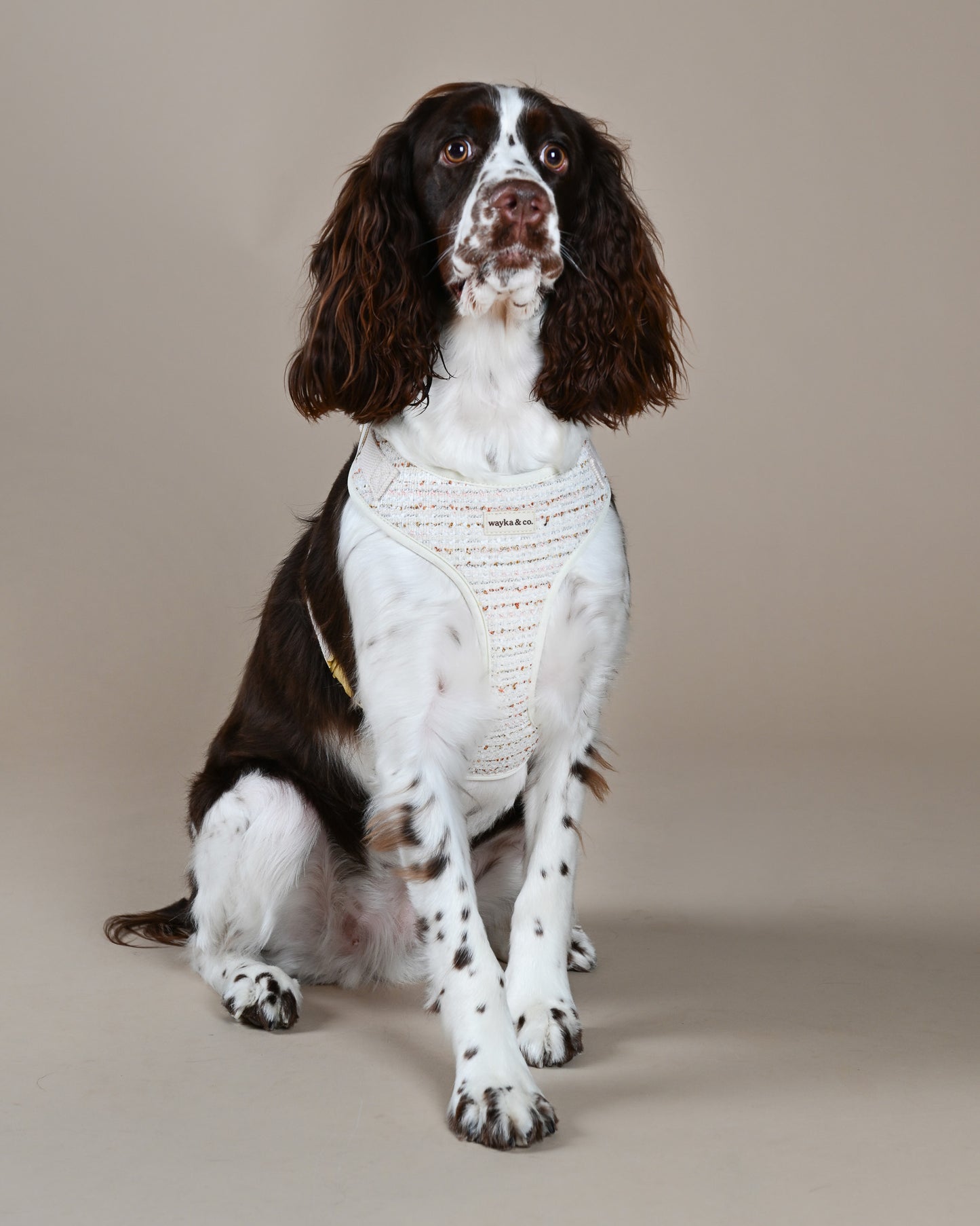 Tweed Harness