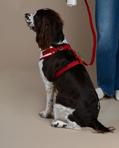 Cherry Corduroy Harness