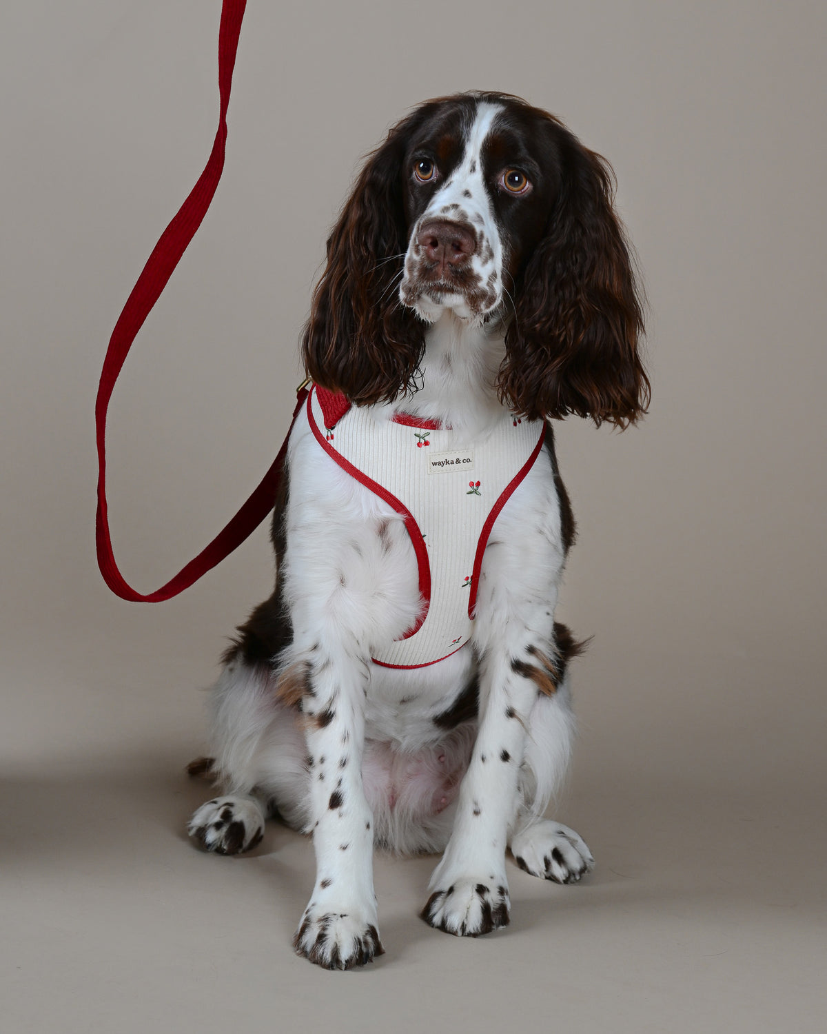 Cherry Corduroy Harness