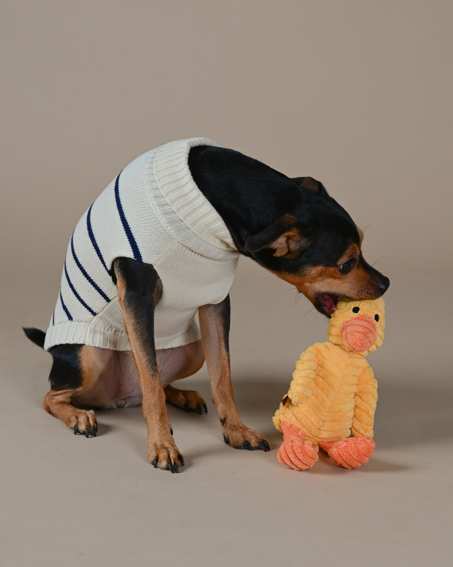 Duck Plush Toy