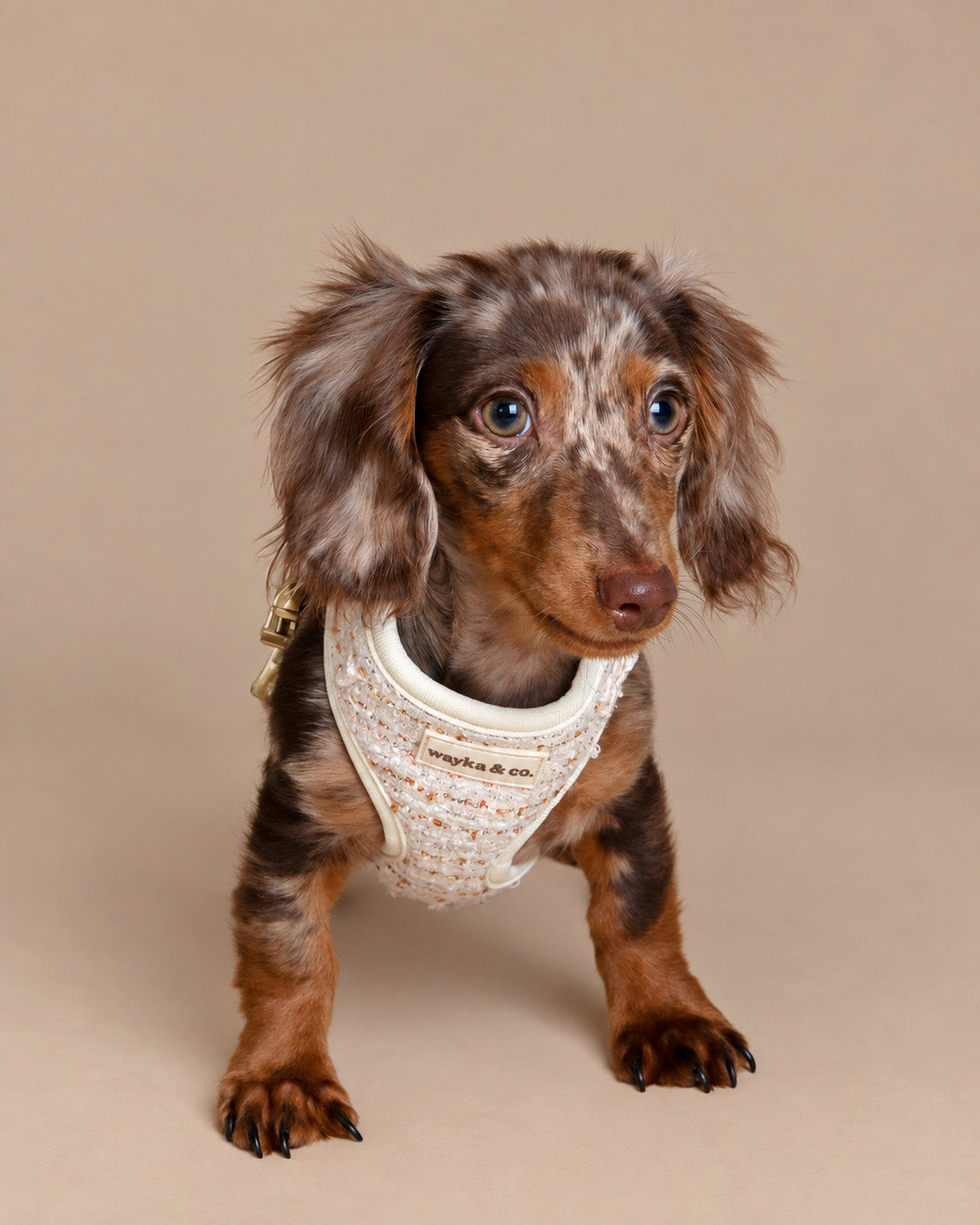 Tweed Complete Set