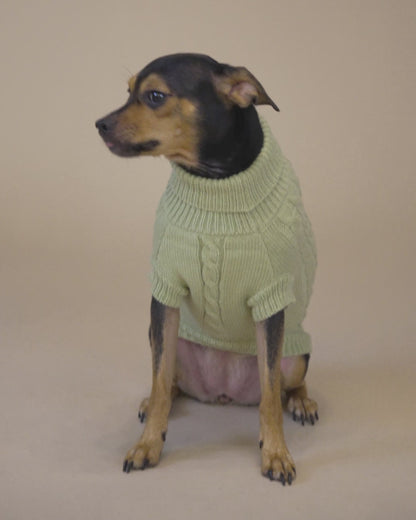 Pistachio Knit Sweater
