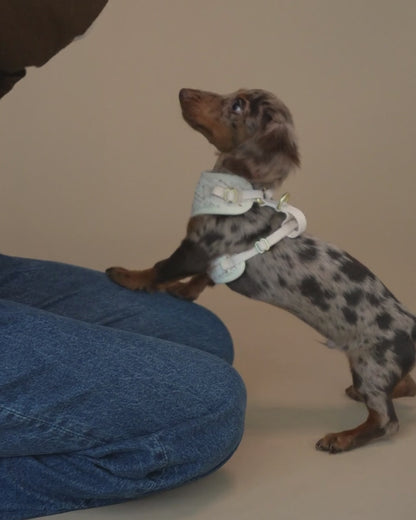 Tweed Harness
